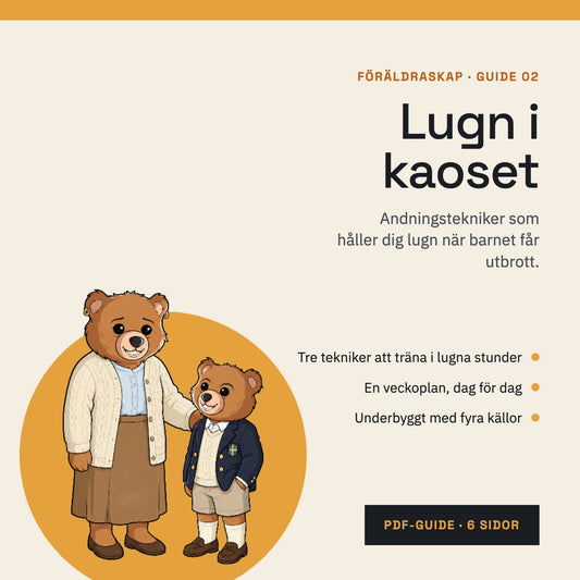 Lugn i kaoset